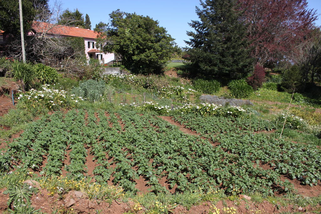 Quinta Das Faias Camacha  Eksteriør billede